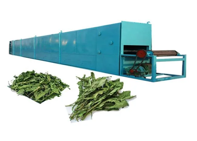 Multi-belt hot air dryer for continuous vegetable dehydration