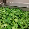 continuous-belt-blancher-03 Continuous belt blancher for vegetable enzyme inactivation