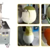 Fruit coring machine removing cores and pits from apples and pears