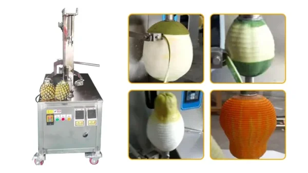 Fruit coring machine removing cores and pits from apples and pears