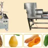 Fruit coring machine removing cores and pits from apples and pears