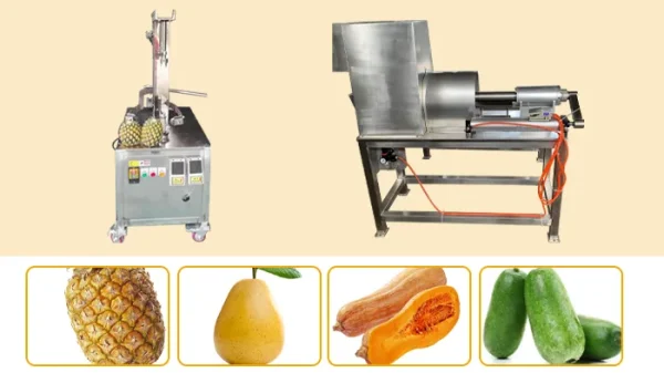 Fruit coring machine removing cores and pits from apples and pears