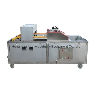 fruit-pitting-machine-01 Fruit pitting machine removing stones from cherries olives and dates