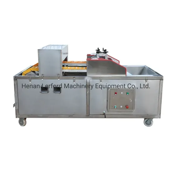 Fruit pitting machine removing stones from cherries olives and dates