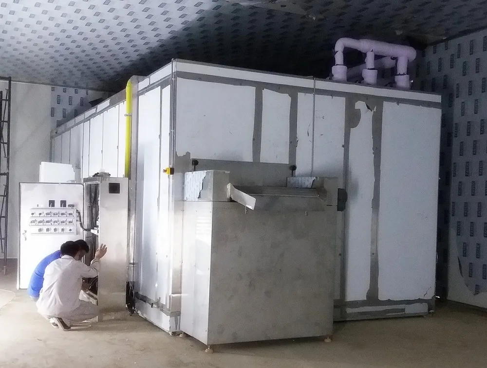 IQF fluidized bed freezer for diced vegetables and berries