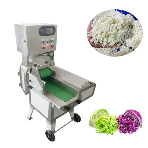 leafy-vegetable-cutting-machine-02 Leafy vegetable cutting machine slicing spinach and lettuce to length