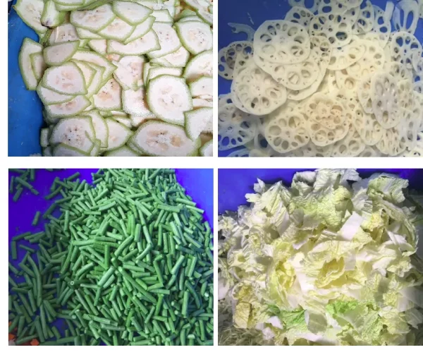 leafy-vegetable-cutting-machine-03 Leafy vegetable cutting machine slicing spinach and lettuce to length