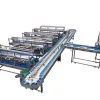 Roller size grading machine separating fruit by diameter bands
