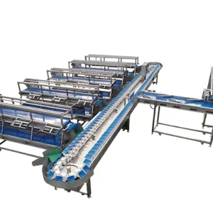 roller-size-grading-machine-01 Roller size grading machine separating fruit by diameter bands