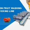 Roller size grading machine separating fruit by diameter bands