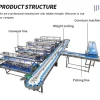 Roller size grading machine separating fruit by diameter bands
