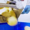 steam-peeling-machine-01 Steam peeling machine for root vegetables with low peel loss