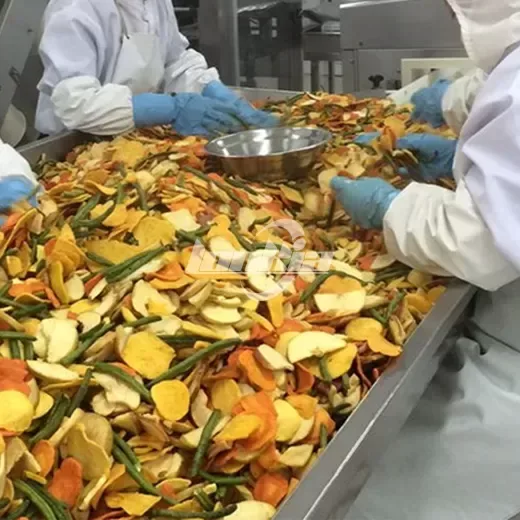 Vacuum frying machine producing low-oil fruit and vegetable chips