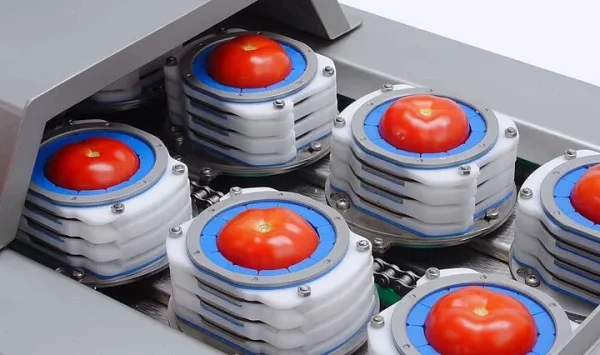 vegetable-dicing-machine-02 Industrial vegetable dicing machine for uniform cubes